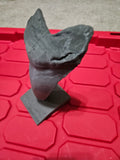 Megladon tooth stand
