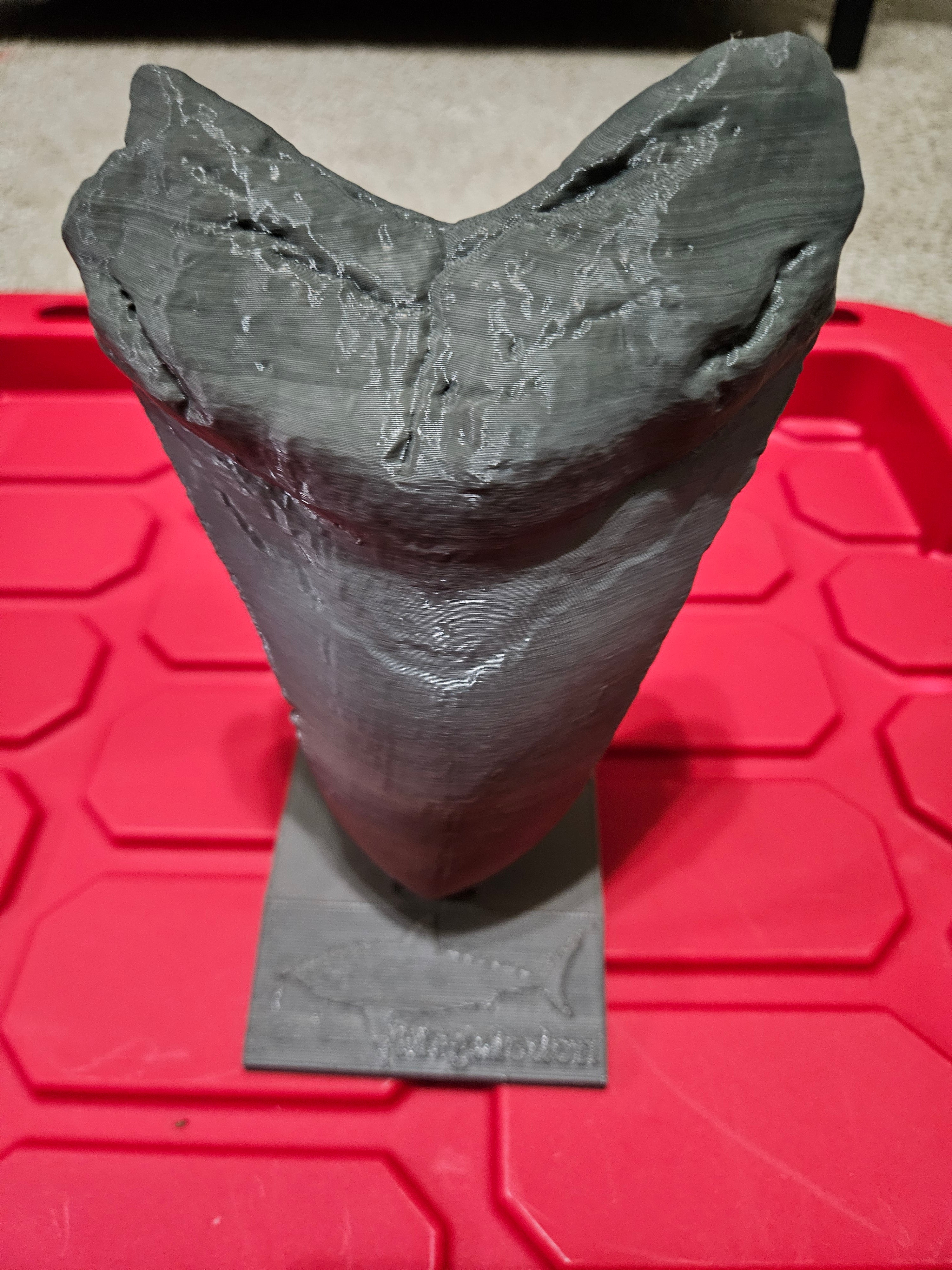 Megladon tooth stand